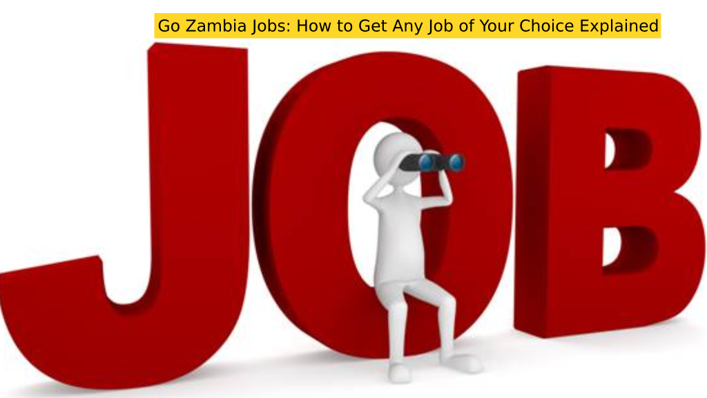 Go Zambia Jobs: How to Get Any Job of Your Choice Explained