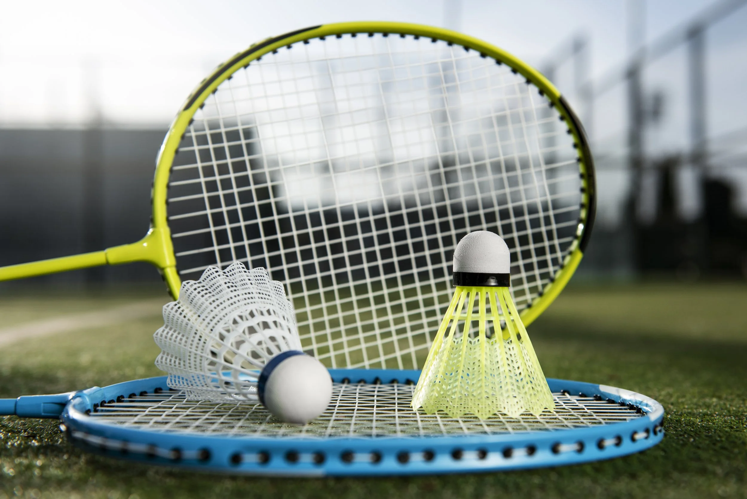 Badminton Birdie