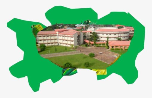 Best Real Estate Companies in Makurdi