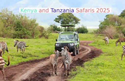 Kenya and Tanzania Safaris 2025 Compare Fact