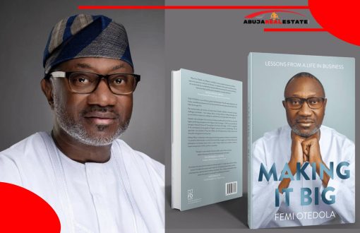 femi otedola making it big book