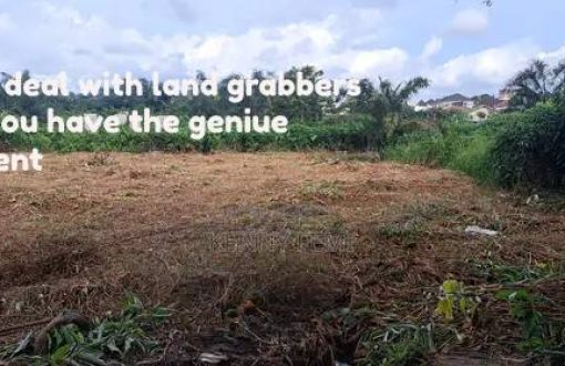 how to deal with land grabbers when you have the geniue document